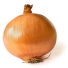 Yellow onion - Wikipedia